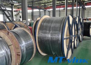 ASTM A213 S30400 / S30403 Stainelss Steel Multi-core Coiled Tubing
